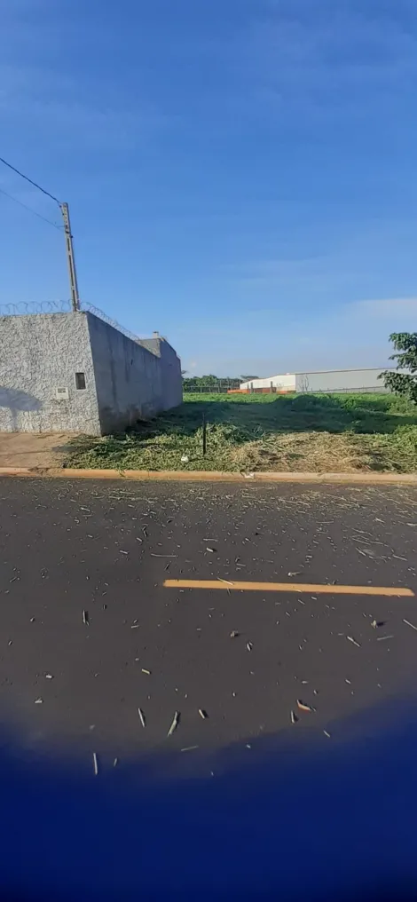 imagem 1 - Terreno no Reserva Macaúba - Ribeirão Preto/SP imagem 1 - Terreno no Reserva Macaúba - Ribeirão Preto/SP