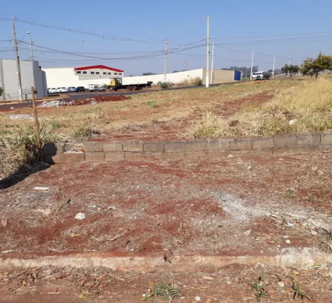 imagem 1 - Terreno - Padrão imagem 1 - Terreno - Padrão