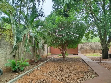 imagem 3 - Chacara Padrão Bairro Parque Residencial Cândido Portinari em Ribeirão Preto/SP. Alianzzo Imóveis. imagem 3 - Chacara Padrão Bairro Parque Residencial Cândido Portinari em Ribeirão Preto/SP. Alianzzo Imóveis.