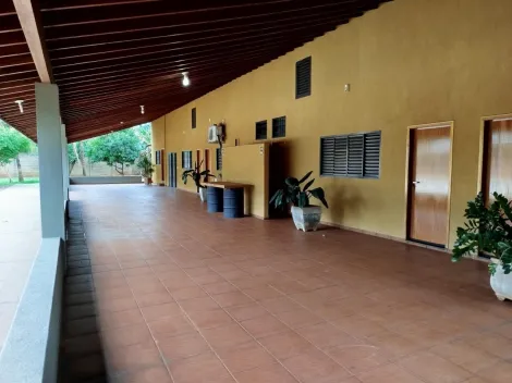 imagem 4 - Chacara Padrão Bairro Parque Residencial Cândido Portinari em Ribeirão Preto/SP. Alianzzo Imóveis. imagem 4 - Chacara Padrão Bairro Parque Residencial Cândido Portinari em Ribeirão Preto/SP. Alianzzo Imóveis.