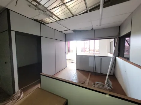 imagem 4 - Imóvel Comercial Para Locação Residencial e Comercial Palmares Ribeirão Preto/SP. Alianzzo Imóveis. imagem 4 - Imóvel Comercial Para Locação Residencial e Comercial Palmares Ribeirão Preto/SP. Alianzzo Imóveis.