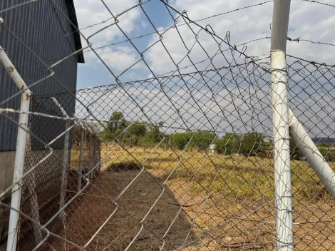 imagem 3 - Galpão Comercial para Locação no Bairro Jardim Salgado Filho em Ribeirão Preto/SP. Alianzzo Imóveis. imagem 3 - Galpão Comercial para Locação no Bairro Jardim Salgado Filho em Ribeirão Preto/SP. Alianzzo Imóveis.