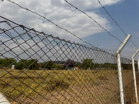 imagem 4 - Galpão Comercial para Locação no Bairro Jardim Salgado Filho em Ribeirão Preto/SP. Alianzzo Imóveis. imagem 4 - Galpão Comercial para Locação no Bairro Jardim Salgado Filho em Ribeirão Preto/SP. Alianzzo Imóveis.