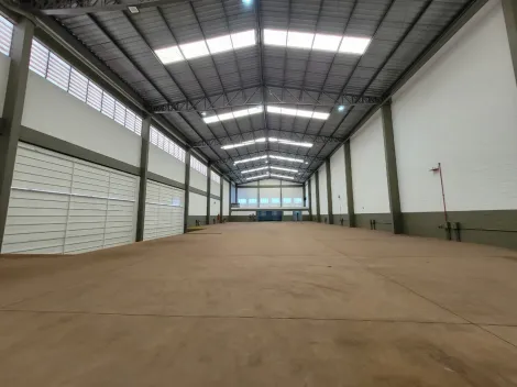 imagem 1 - Galpão Comercial Jardim Paschoal Innechi imagem 1 - Galpão Comercial Jardim Paschoal Innechi