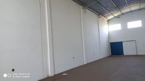 imagem 2 - Galpão Comercial para locação  no Bairro Vila Carvalho  em Ribeirão Preto/SP. Alianzzo Imóveis. imagem 2 - Galpão Comercial para locação  no Bairro Vila Carvalho  em Ribeirão Preto/SP. Alianzzo Imóveis.