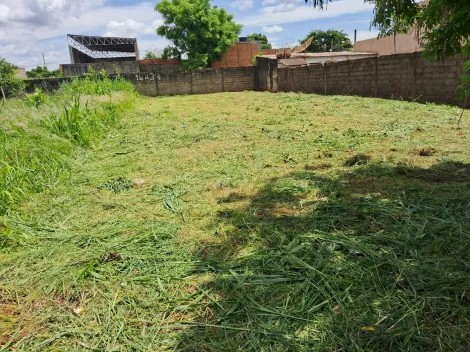 imagem 1 - Terreno Padrão para Venda Bairro Vila Brasil em Ribeirão Preto/SP. Alianzzo Imóveis. imagem 1 - Terreno Padrão para Venda Bairro Vila Brasil em Ribeirão Preto/SP. Alianzzo Imóveis.