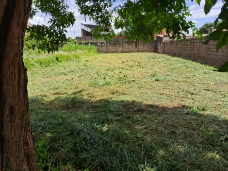 imagem 2 - Terreno Padrão para Venda Bairro Vila Brasil em Ribeirão Preto/SP. Alianzzo Imóveis. imagem 2 - Terreno Padrão para Venda Bairro Vila Brasil em Ribeirão Preto/SP. Alianzzo Imóveis.