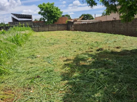 imagem 3 - Terreno Padrão para Venda Bairro Vila Brasil em Ribeirão Preto/SP. Alianzzo Imóveis. imagem 3 - Terreno Padrão para Venda Bairro Vila Brasil em Ribeirão Preto/SP. Alianzzo Imóveis.