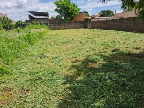 imagem 4 - Terreno Padrão para Venda Bairro Vila Brasil em Ribeirão Preto/SP. Alianzzo Imóveis. imagem 4 - Terreno Padrão para Venda Bairro Vila Brasil em Ribeirão Preto/SP. Alianzzo Imóveis.