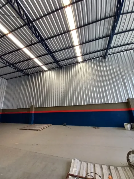 imagem 4 - Galpão Comercial Bairro Vila Carvalho em Ribeirão Preto/SP. Alianzzo Imóveis. imagem 4 - Galpão Comercial Bairro Vila Carvalho em Ribeirão Preto/SP. Alianzzo Imóveis.